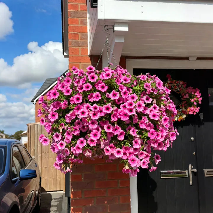 🔥UV Resistant Artificial Petunias Flowers